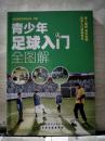 青少年足球入门全图解【2016年出版】
