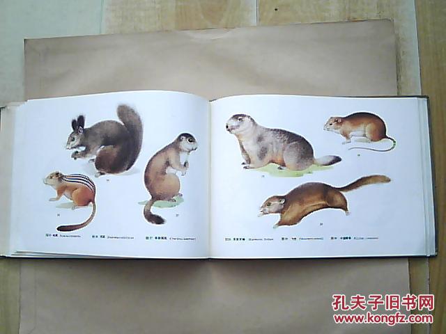 《吉林省野生动物图鉴》(两栖类,爬行类,哺乳类)