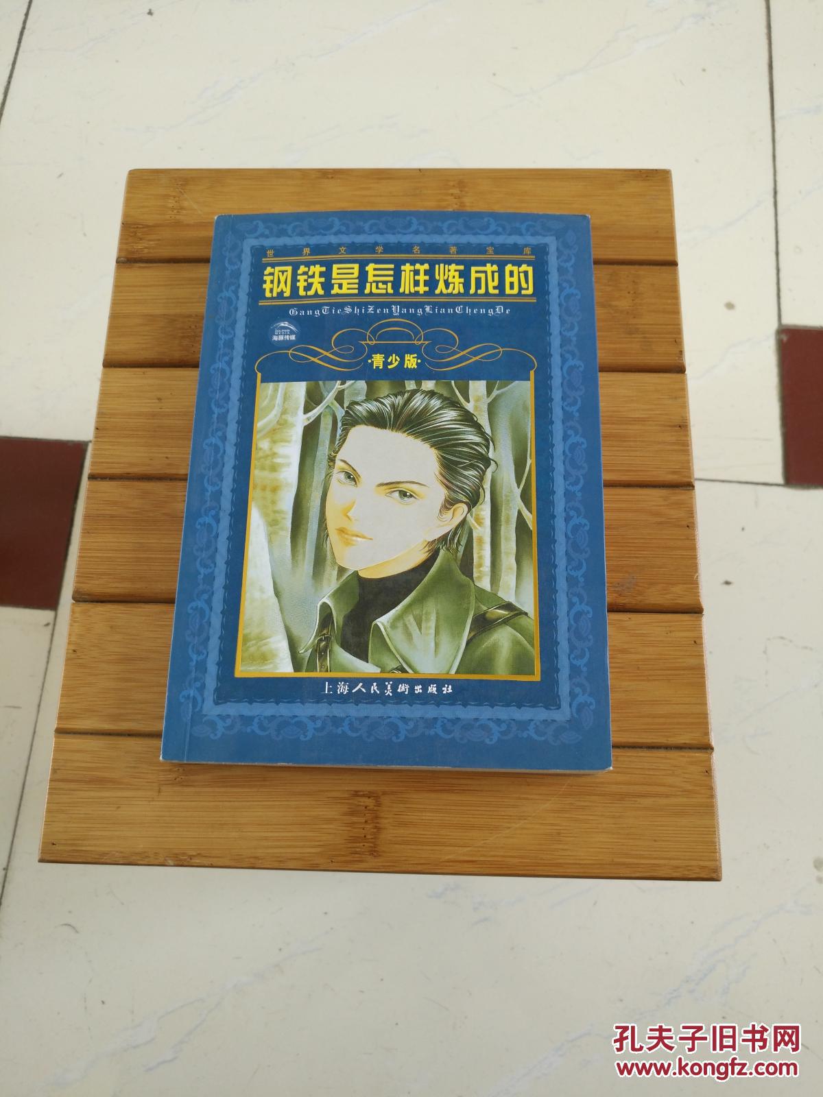 钢铁是怎样炼成的 近十品