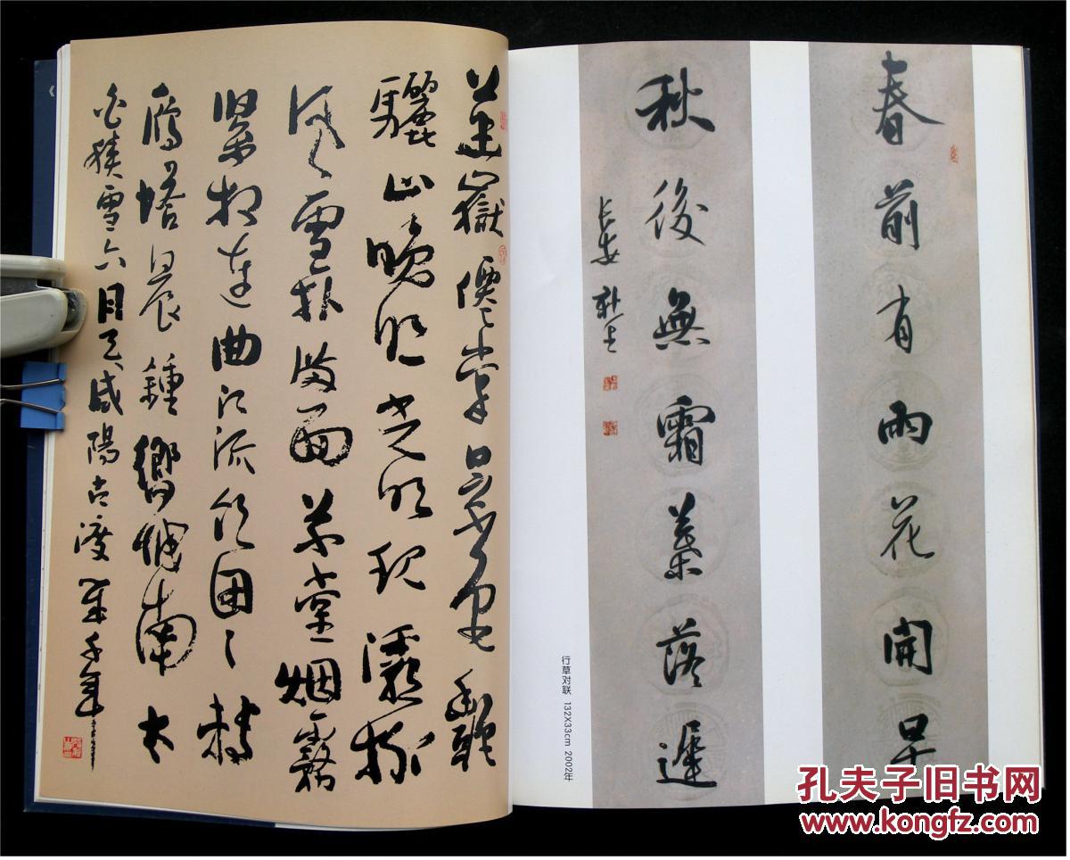 张新生 书法作品集