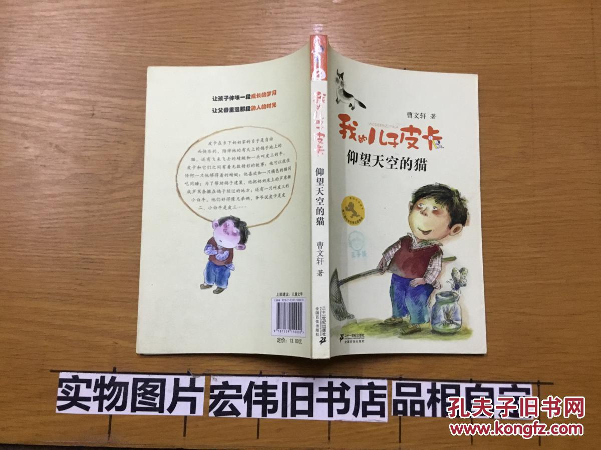 我的儿子皮卡,仰望天空的猫