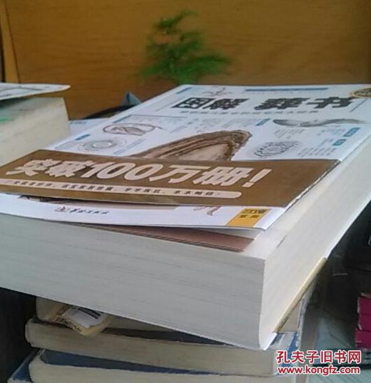 正版 彩色塑封 带金色书腰 图解葬书:助你振兴家业的阴宅风水经典