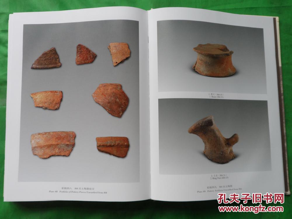 越南义立――冯原文化遗存发掘报告