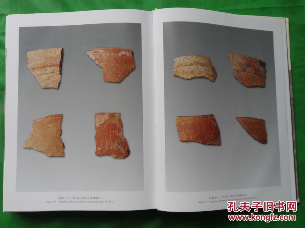 越南义立――冯原文化遗存发掘报告