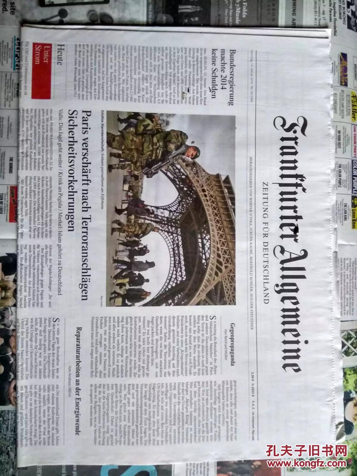 frankfurterallgemeine德国法兰克福汇报20150113德文学习参考报纸