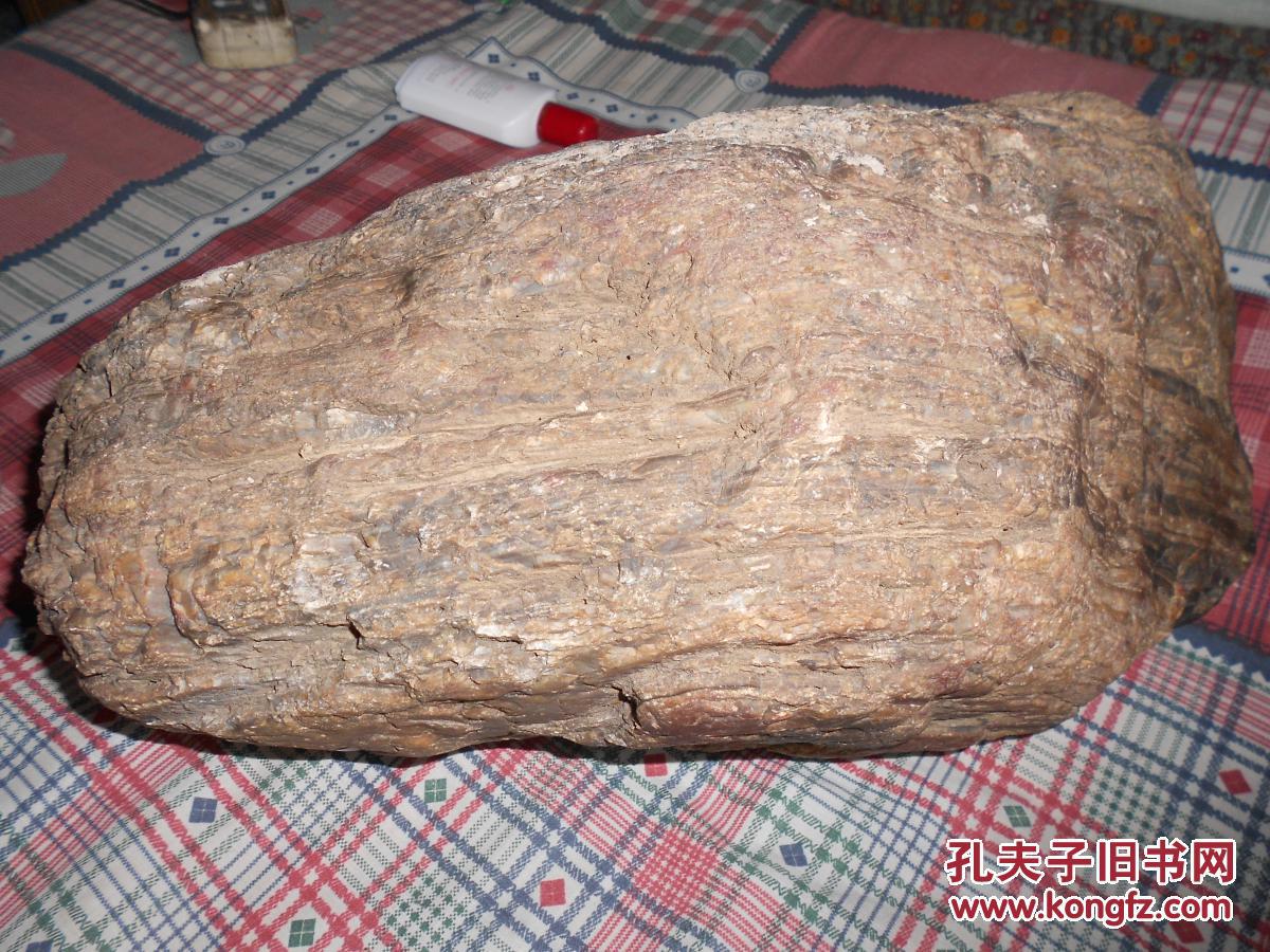 大件树化玉原石27公斤未经任何处理层次纹理明显