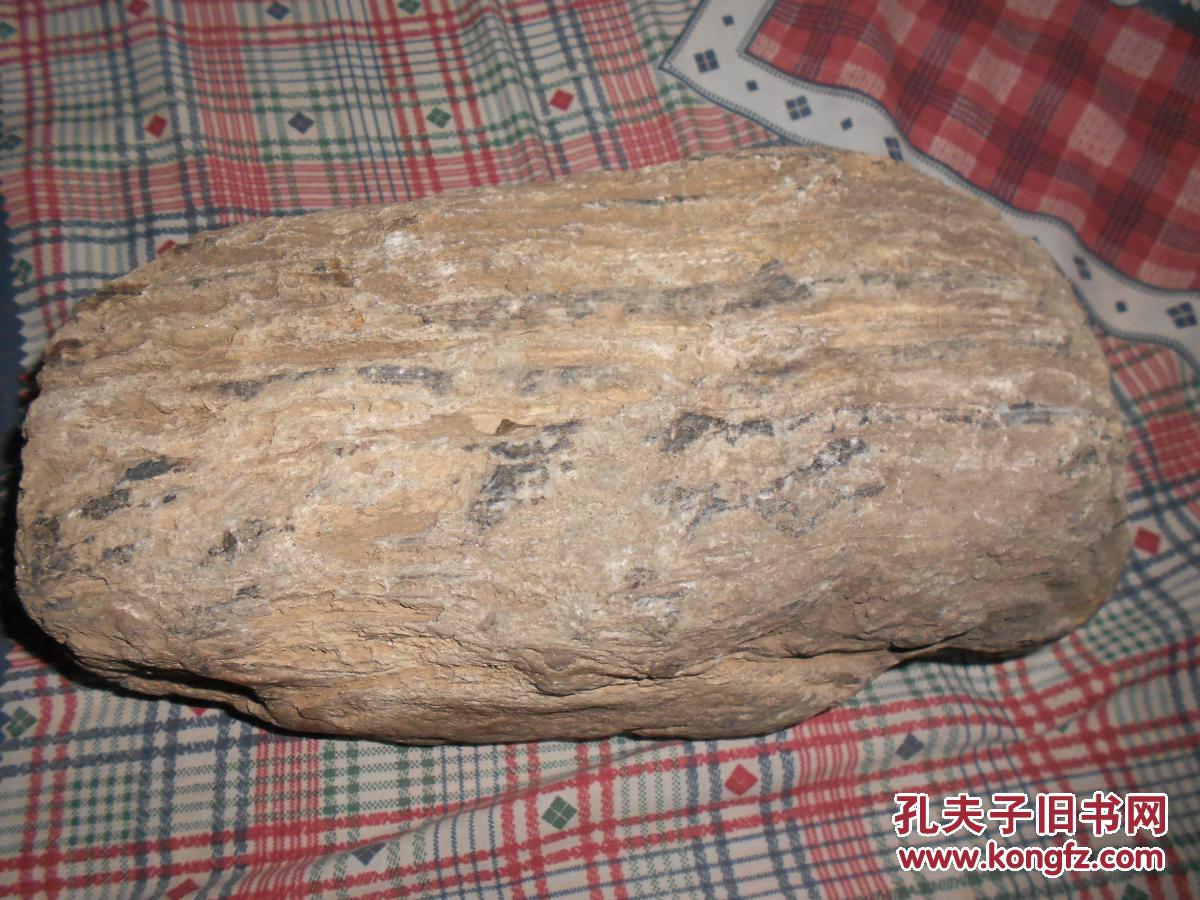 长方形树化玉原石重10公斤未经任何处理层理分明未经任何处理