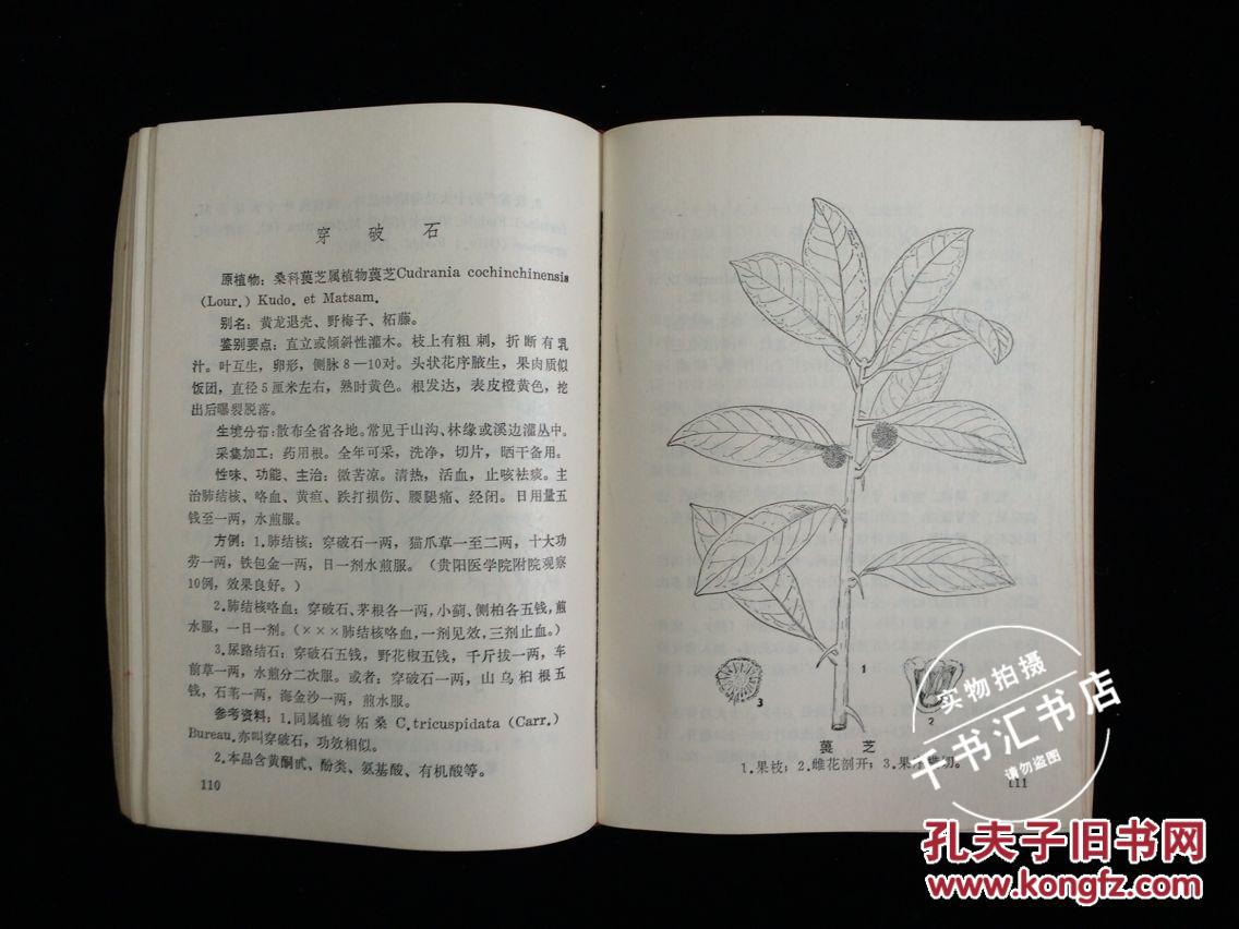 中草药资料.