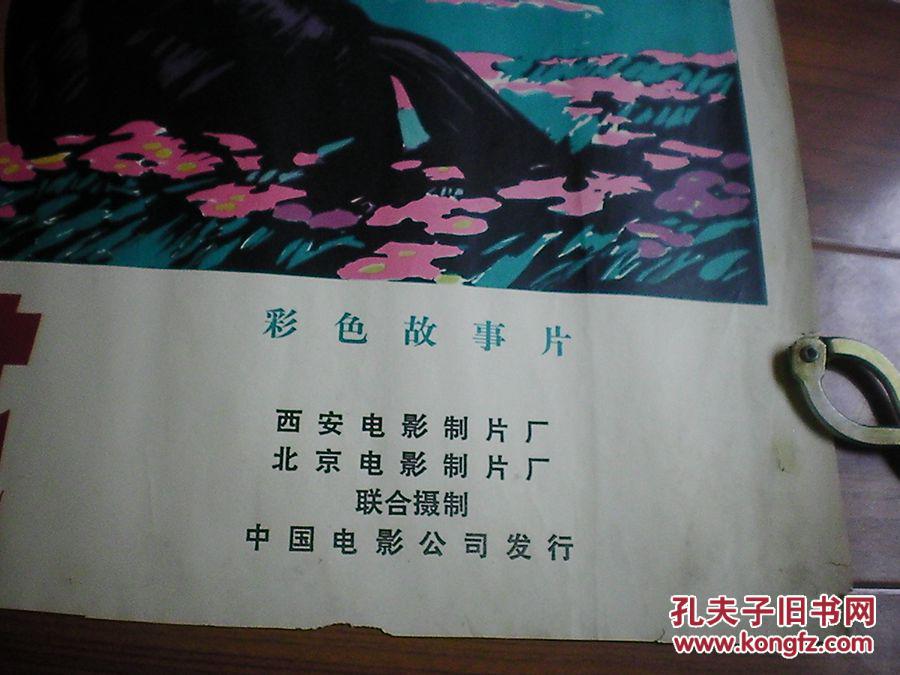 2开 电影海报:天山的红花