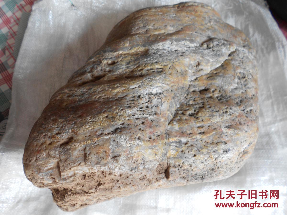 水冲树化玉原石约155公斤多色