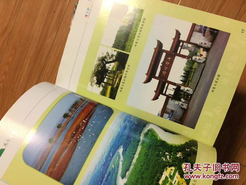 《淮上明珠——阜南》(内有许多珍贵彩页,图文并茂介绍阜南县!