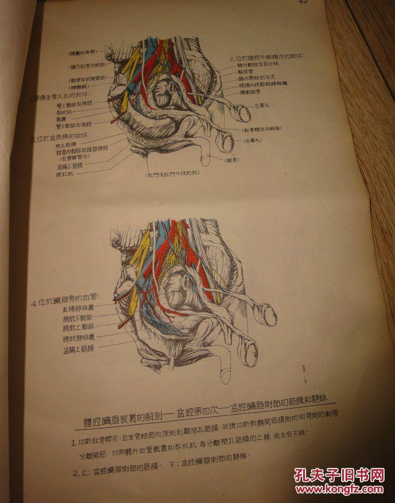 法医解剖过程 图册图片