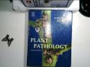 Plant Pathology, Fifth Edition 植被护理植物病理学教科书