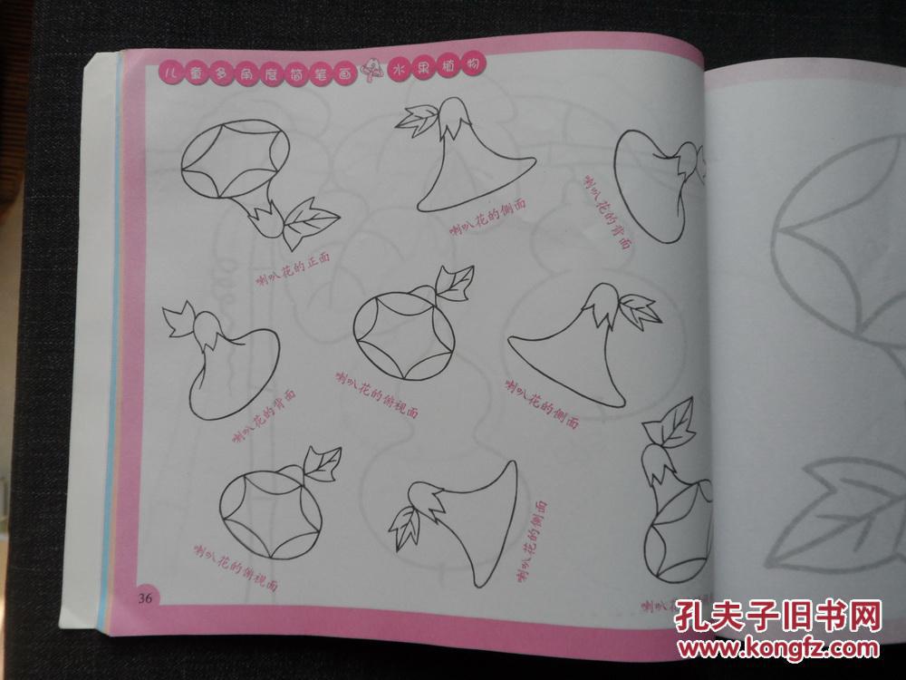 儿童多角度简笔画水果植物【大陆所有地区书款满100元包邮】