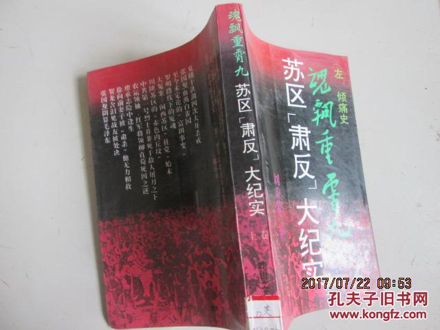 魂飘重霄九:苏区"肃反"大纪实(上卷)