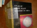 ATLAS OF FOSSIL PLANT AN ATOMY IN CHINA/中国化石植物解剖图++