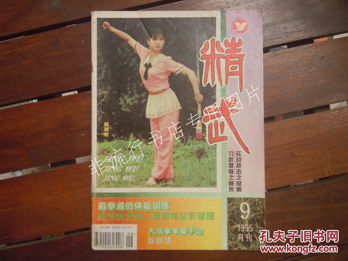期刊杂志武术类:精武1995年第9期