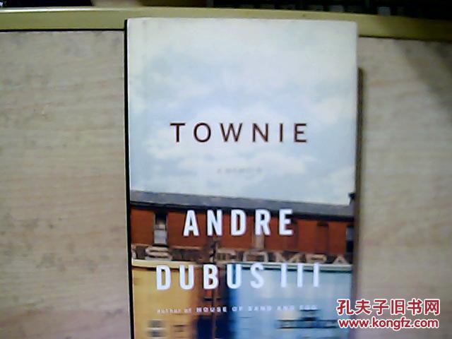 Townie: A Memoir英文原版