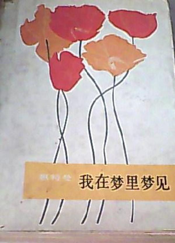 在 梦里 梦见