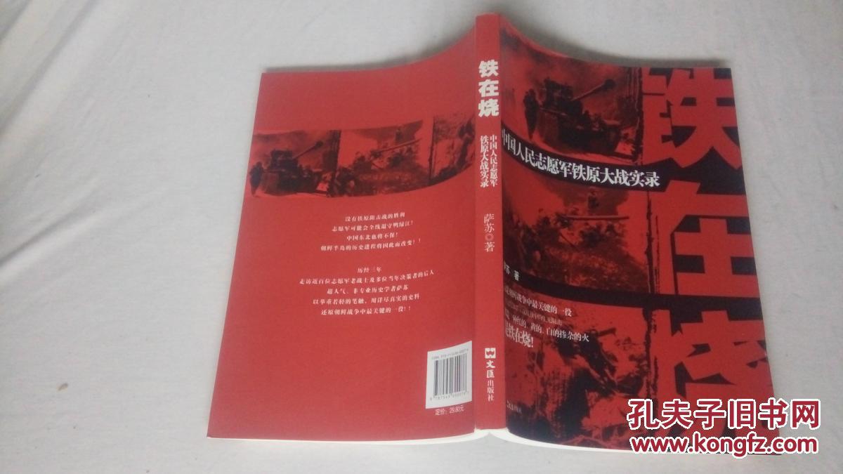 铁在烧:中国人民志愿军铁原大战实录