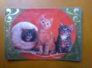 1986年历卡 3个小猫  *636*2袋