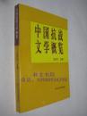中国抗战文学概览【1996年一版一印】