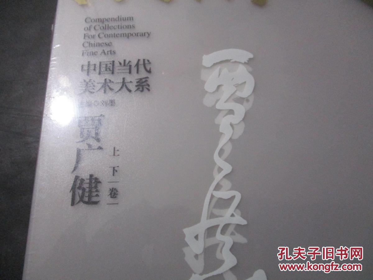 中国当代美术大系·贾广健(上下卷)