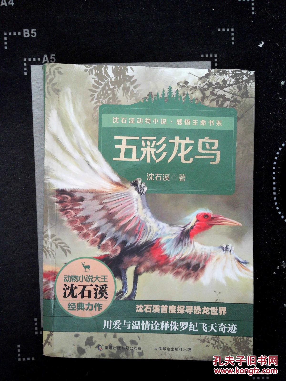 沈石溪动物小说·感悟生命书系:五彩龙鸟