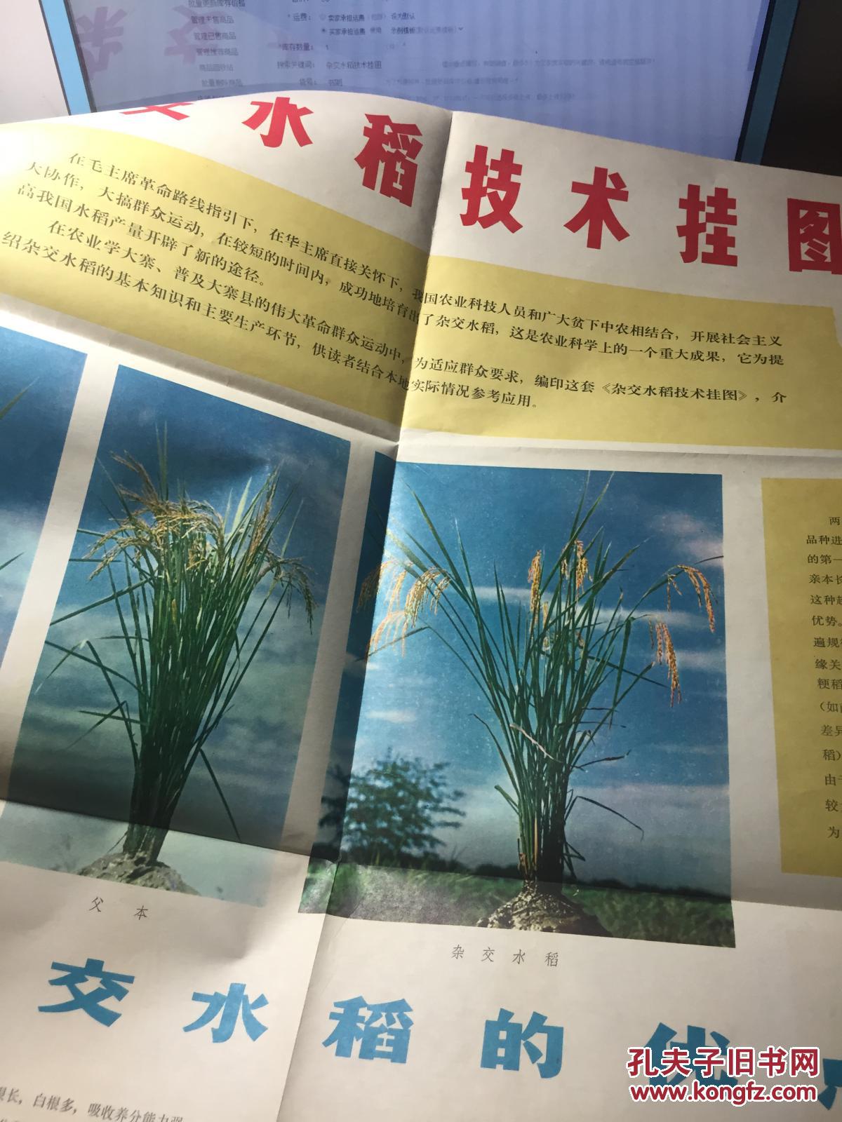 杂交水稻技术挂图(五张全)