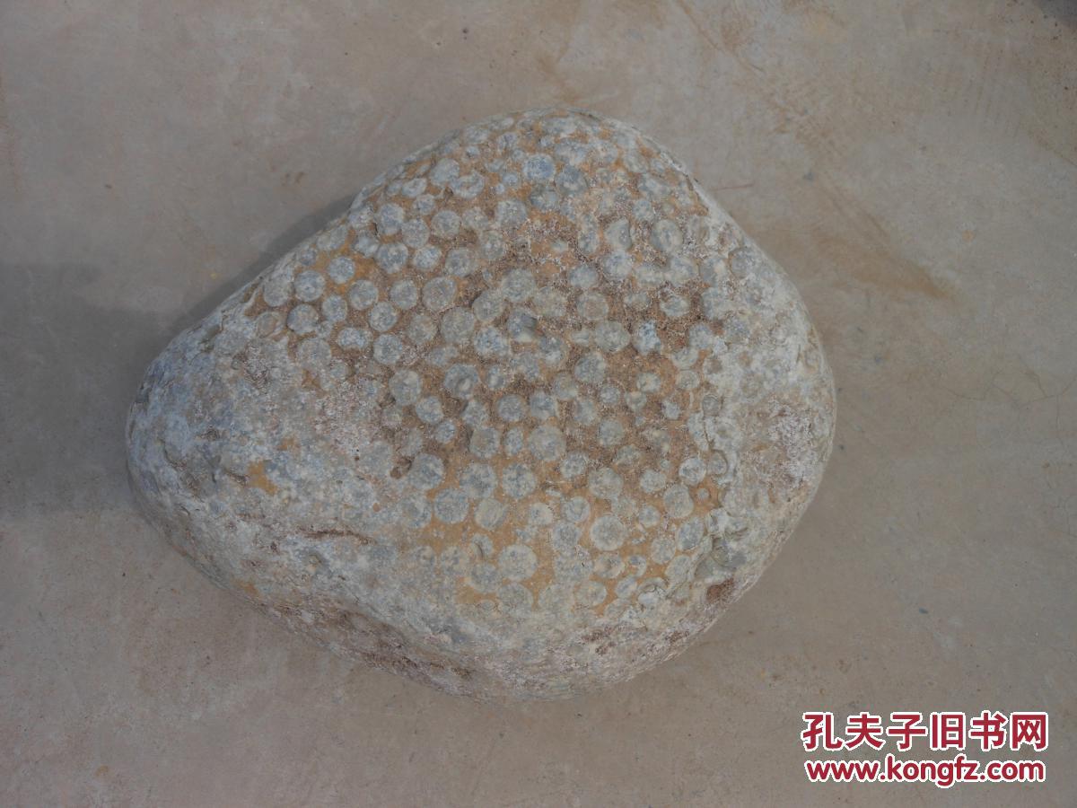 奇石天然原石晋南鱼籽石20厘米13厘米8厘米重约10市斤