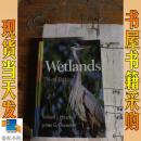 英文原版 英文原版 Wetlands湿地