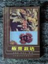 板栗栽培（87年一版一印5000册）