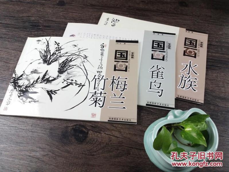 学国画:梅兰竹菊 国画雀鸟 国画水族技法普及教材写意正版包邮书籍