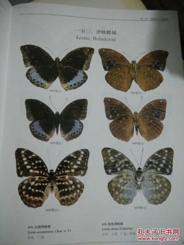 正版 中国蝴蝶原色图鉴
