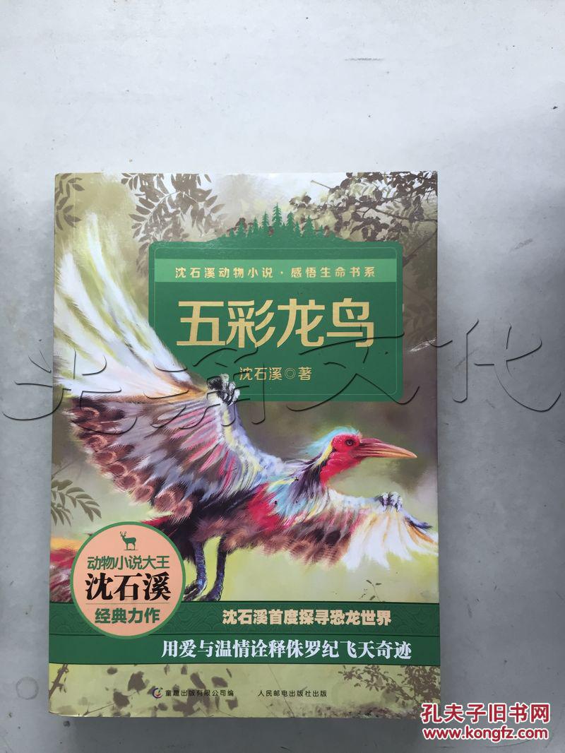 五彩龙鸟---[id:251059][%#72d5%#]---[中图分类法][!i287.