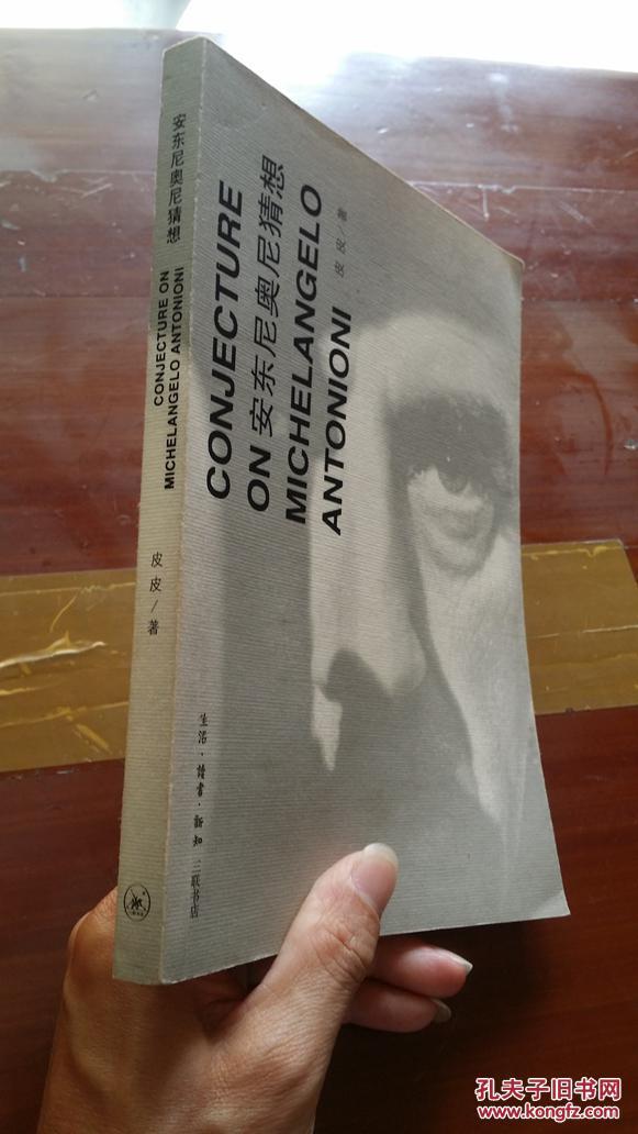 安东尼奥尼猜想_皮皮著_孔夫子旧书网