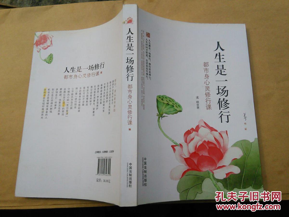 人生是一场修行:都市身心灵修行课