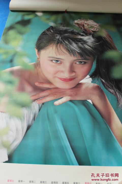 1993年 花蕾 明星挂历 陈红 周迅 朱京红 等全12张