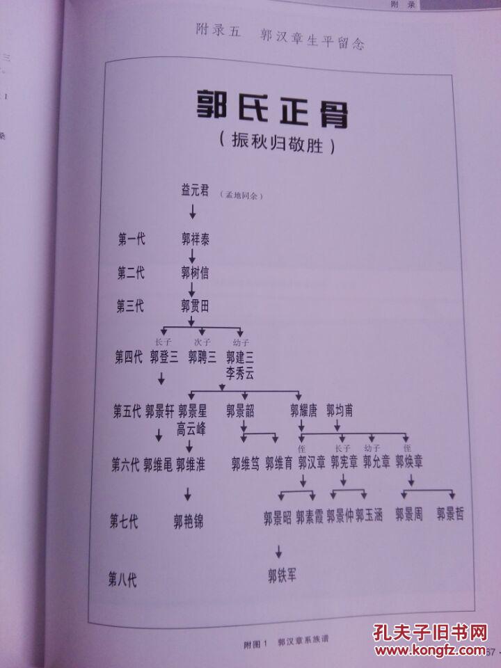 平乐郭氏正骨《郭汉章正骨学》16开286页精装本( 系对《实用正骨学》