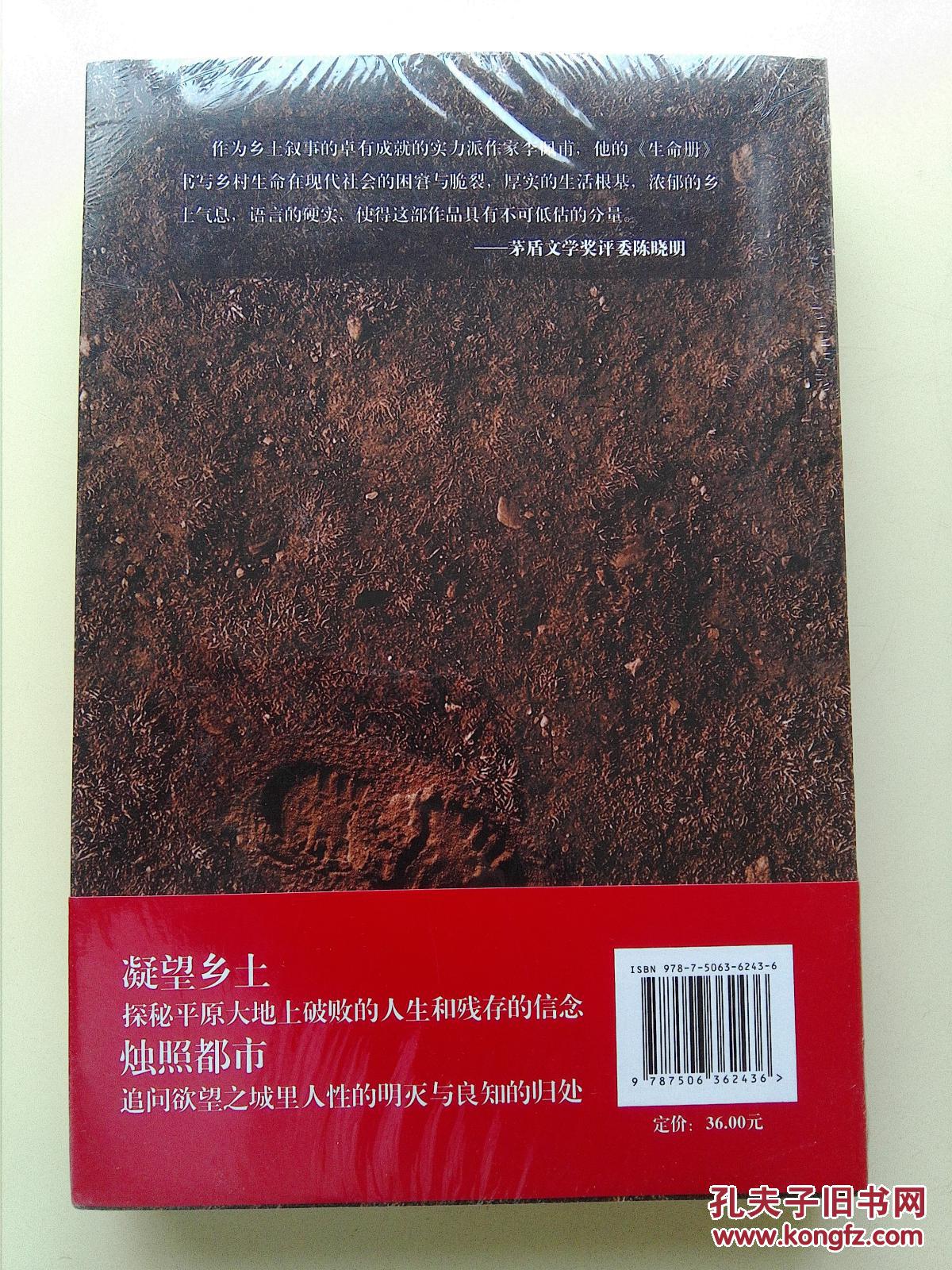 生命册 李佩甫著