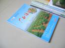 广西植物2006增刊1 银杏高产高校技术示范研究专集