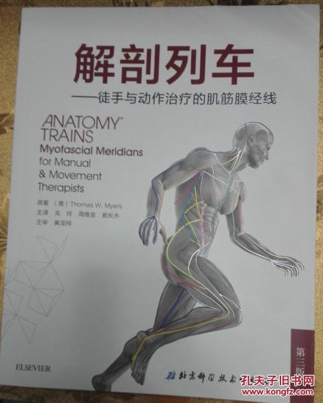 解剖列车-徒手与动作治疗的肌筋膜经线 9787530486078