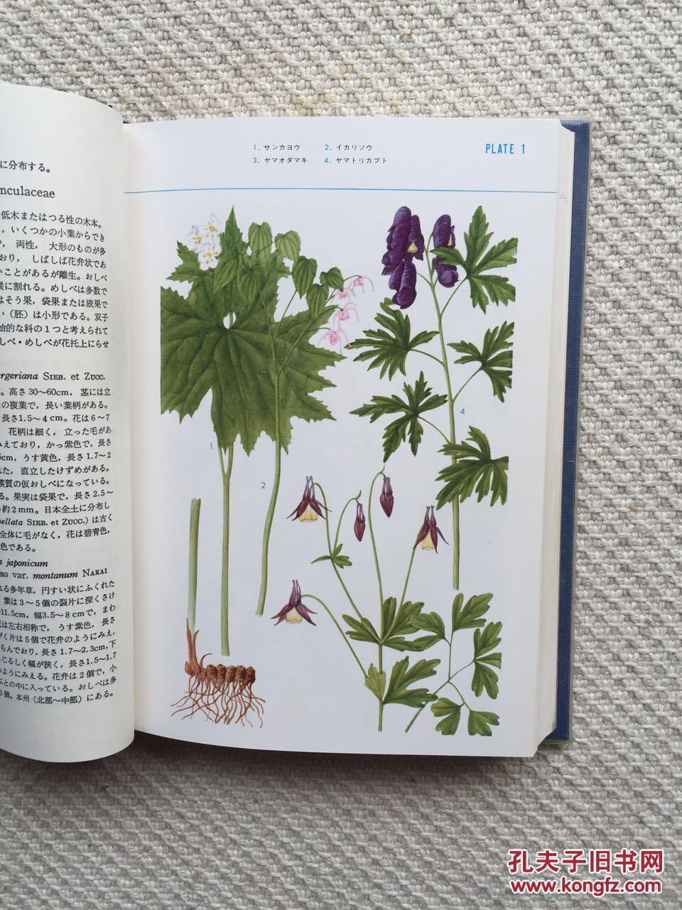 图鉴书====《标准原色图鉴:植物》====1987年出版,32开,硬精装,彩色图