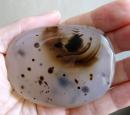 天然奇石观赏石精品图案石海洋玉髓摆件收藏品珍品：雀巢中的期待