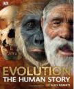 Evolution: The Human Story演化进化骨骼DK人类进化圣典百科全书