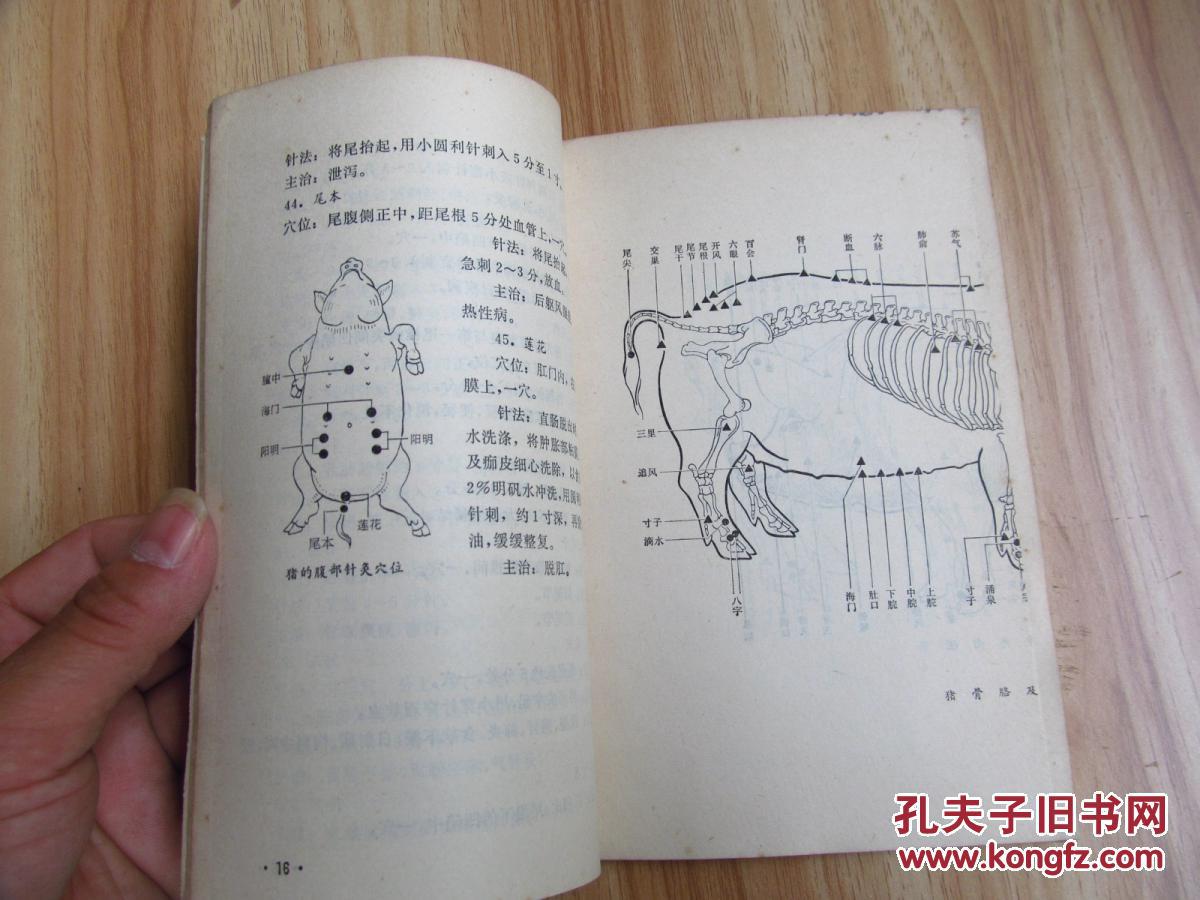 兽医针灸·猪,牛,附家禽(1972年第一版第一次印刷,八五成新)