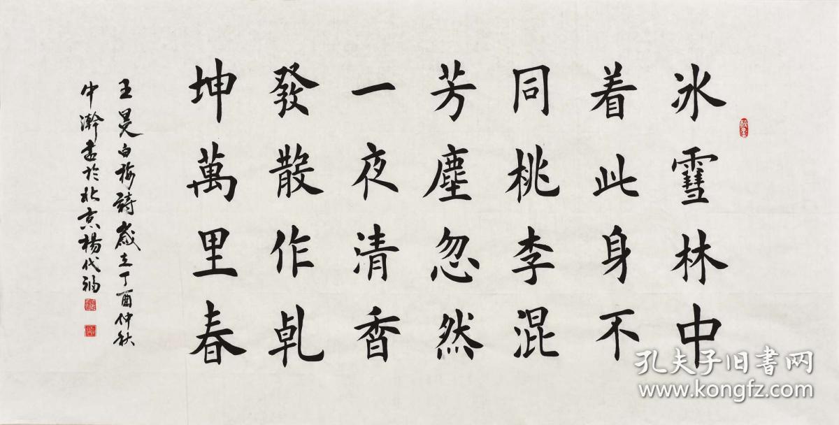 当代实力书法家 杨老师《白梅》sf1022