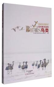 郑州黄河湿地鸟类