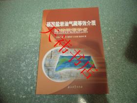 碳酸盐岩油气藏等效介质数值模拟 技术