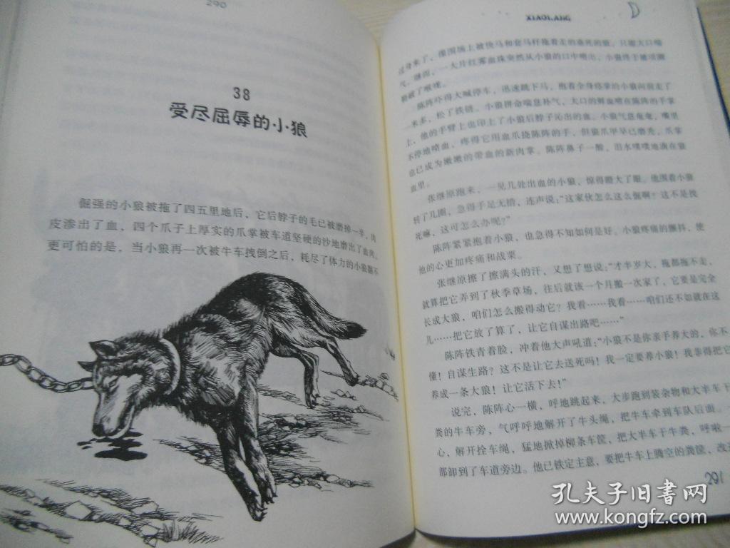 狼图腾:小狼小狼